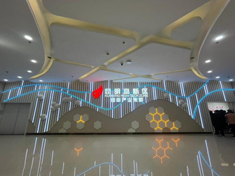 Contoh Ekosistem Inovasi Masa Depan, Partai NasDem Pelajari Model Industri Terpadu Tiongkok