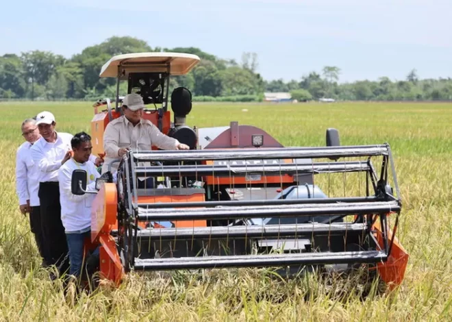 Kebijakan Hijau Presiden Prabowo Dinilai Perkuat UMKM dan Ekonomi Berkelanjutan