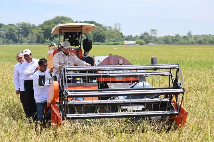 Kebijakan Hijau Presiden Prabowo Dinilai Perkuat UMKM dan Ekonomi Berkelanjutan