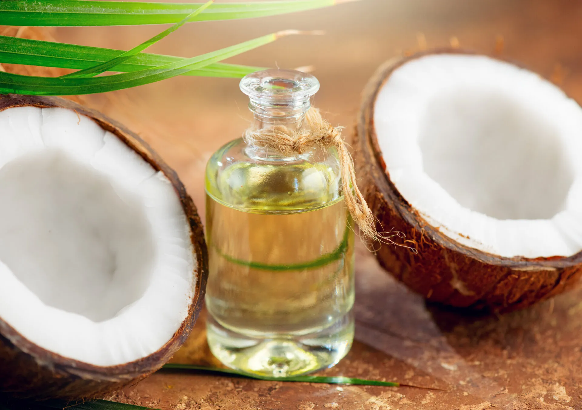 Minyak Kelapa, Rahasia Alami untuk Menjaga Kesehatan dan Daya Tahan Tubuh