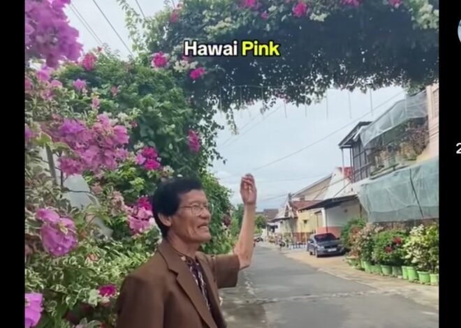 Kreatif! Ketua RT Hias Kampung dengan Ribuan Bunga hingga Viral di Media Sosial