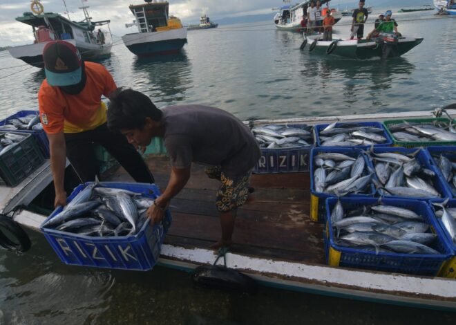 Investasi Kelautan dan Perikanan Capai Rp7,82 pada Triwulan III