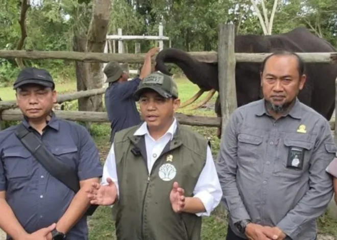 Raja Juli Beberkan Cak Imin Minta Maaf soal Tobat Nasuha, Ini Maksudnya