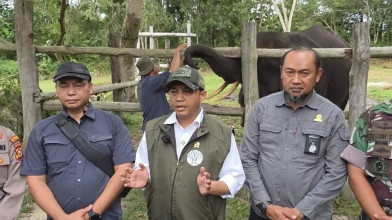 Raja Juli Beberkan Cak Imin Minta Maaf soal Tobat Nasuha, Ini Maksudnya