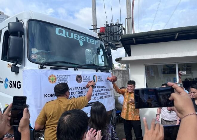 Bogor Genjot Ekspor Durian Beku ke Tiongkok, Pasar Hortikultura Makin Luas