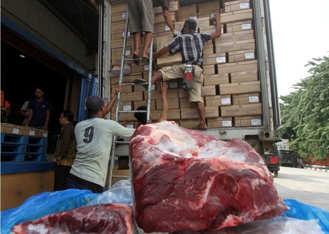 Kuota Impor Daging Sapi Didominasi BUMN, Apa Keuntungan dan Risikonya?