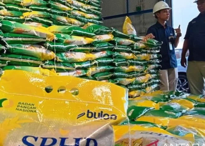 Stok Beras Bulog Nasional Tembus 5 Juta Ton, Meulaboh Jadi Penopang Utama