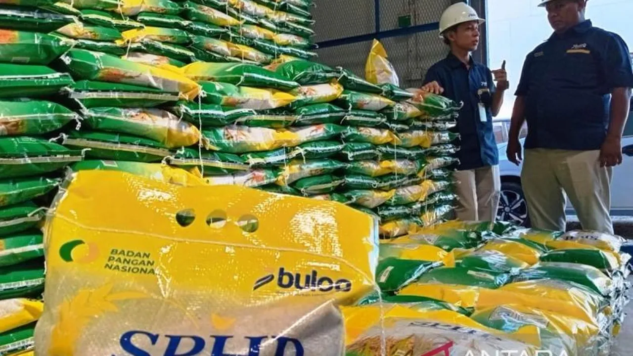 Stok Beras Bulog Nasional Tembus 5 Juta Ton, Meulaboh Jadi Penopang Utama